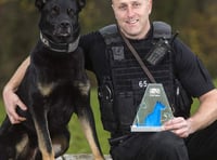 National award for hero dog who found missing mum and baby