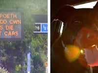 ‘Dogs die in hot cars’ campaign message to feature on Wales’ road warning signs