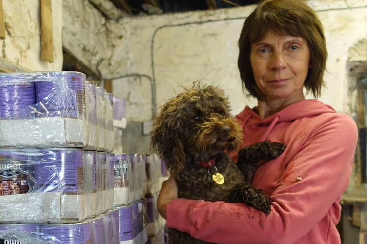 RSPCA Carmarthenshire branch Trustee Tracey Clarke with rescue poodle Dylan