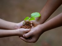 Tree planting and festive fun at Cilrath Acre