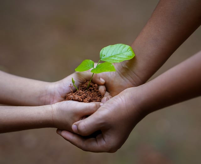 Tree planting and festive fun at Cilrath Acre