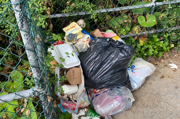 Tenby litter