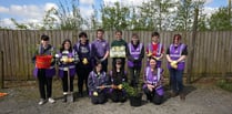 Pembrokeshire College learners plant trees for a greener future