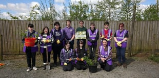 Pembrokeshire College learners plant trees for a greener future