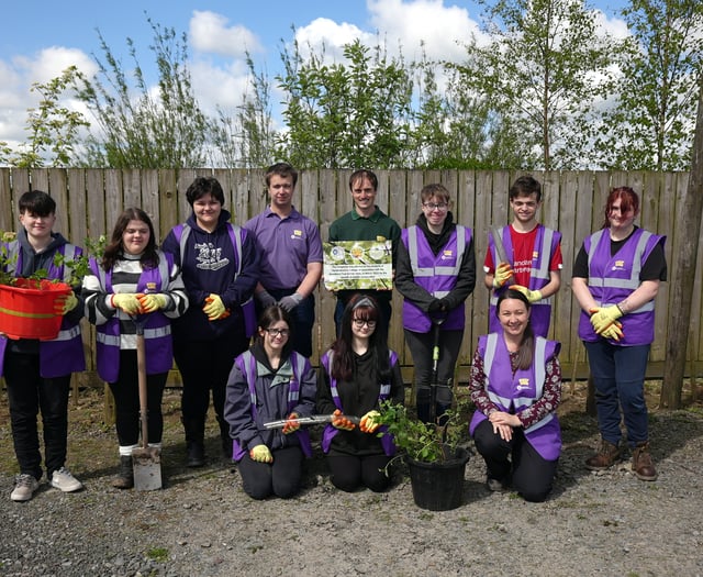 Pembrokeshire College learners plant trees for a greener future