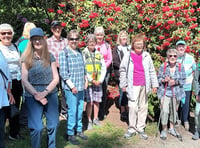 Steps2Health walking club enjoys glorious Pembrokeshire summer