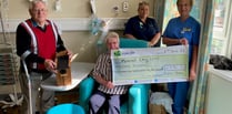 Bird nesting boxes raise over £3,000 for Withybush Hospital