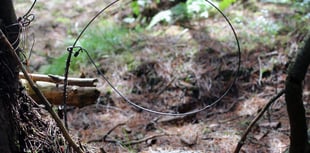 Delight as ban on barbaric animal traps comes into force in Wales