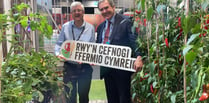 Sustainable Farming Scheme must provide tenant farmers equal access