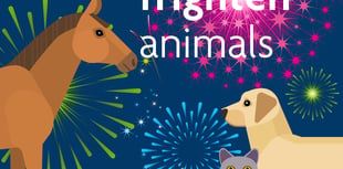 Local councils have backed RSPCA measures to combat fireworks fear