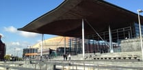 Plans to reform Senedd elections 'a step back'