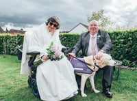 Ask the Expert: How to approach an Assistance Dog at a wedding