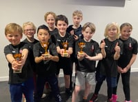 Redhill Knights in Welsh Chess Championship