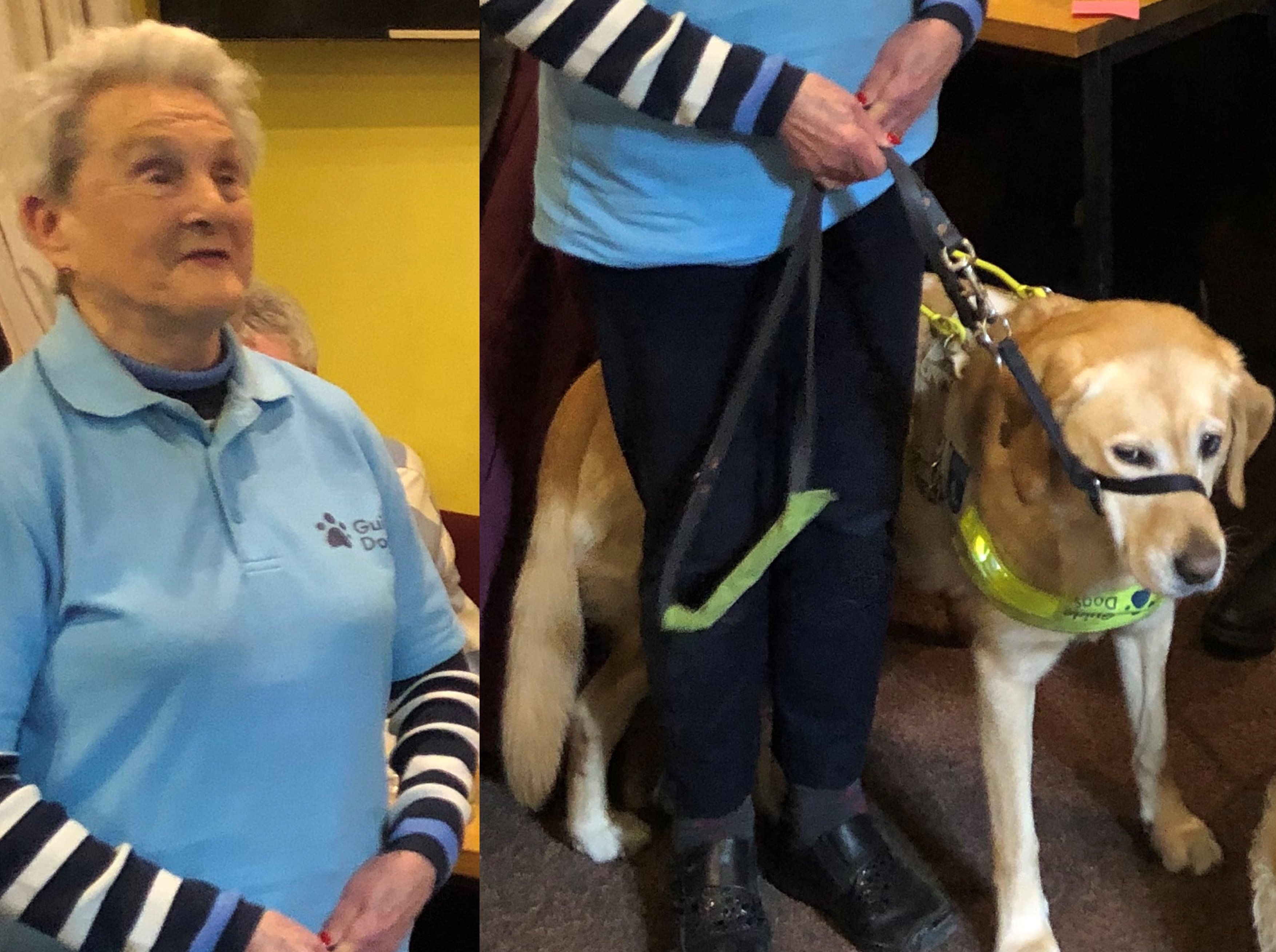 Carew WI welcomes Eva Rich and Guide Dog Nancy | narberth-and-whitland ...