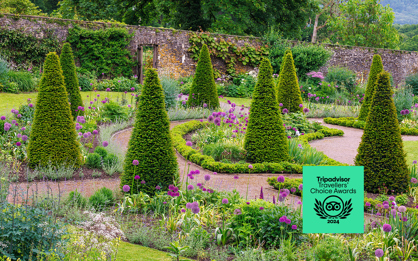 Aberglasney Gardens delighted to win 2024 Tripadvisor Travellers ...