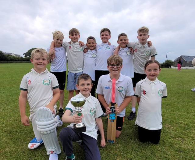 Flurry of junior cricket activity in Pembrokeshire