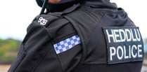 Four arrested after Milford Haven stabbing