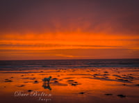 Images of Tenby, Pembroke and Freshwater East